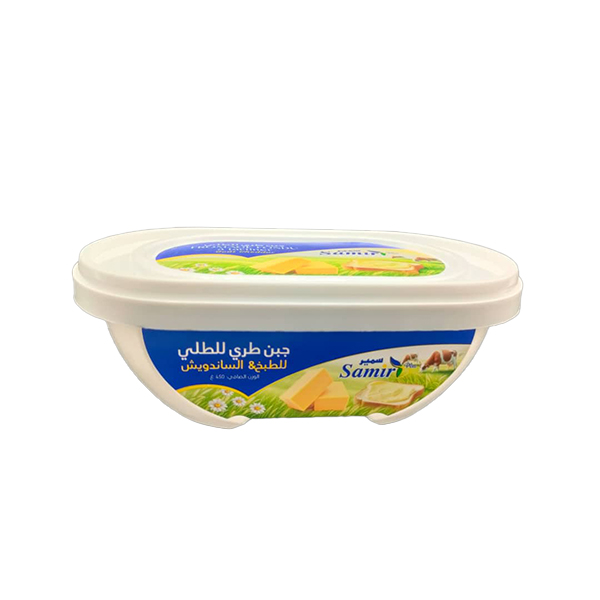 FROMAGE FONDU